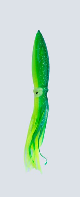 squid-00-4.jpg